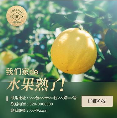 盐城果园果林小程序开发